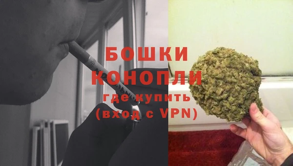 прущие грибы Белоозёрский