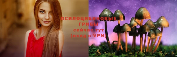 PSILOCYBIN Богородицк