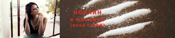 прущие грибы Белоозёрский