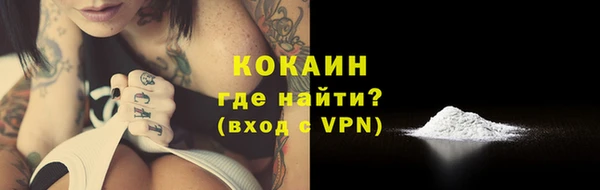 прущие грибы Белоозёрский