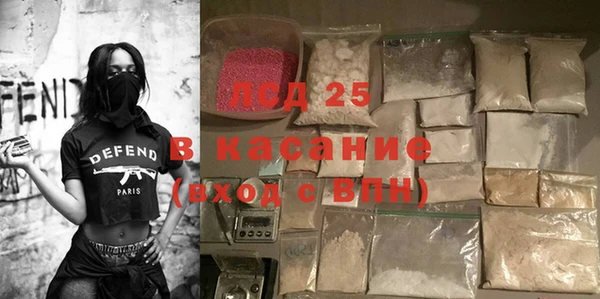 прущие грибы Белоозёрский