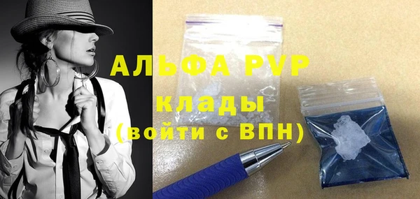 прущие грибы Белоозёрский